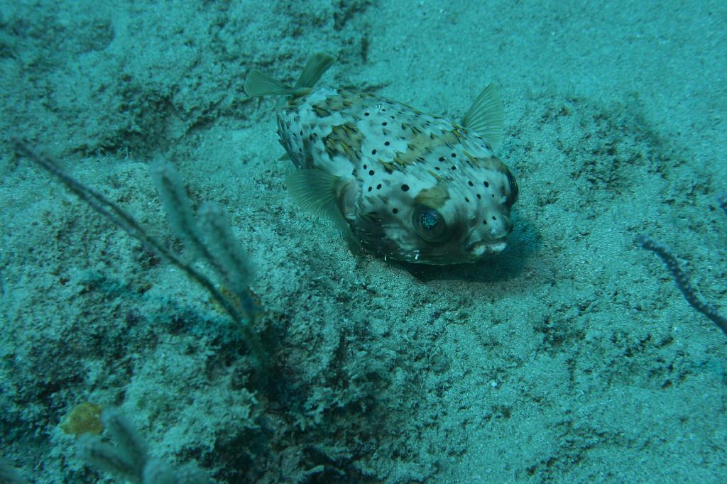 2008-05-19 17-42-36 H.JPG